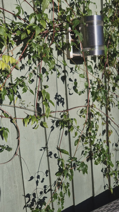 Silver Star Huggie Earrings with Opalite