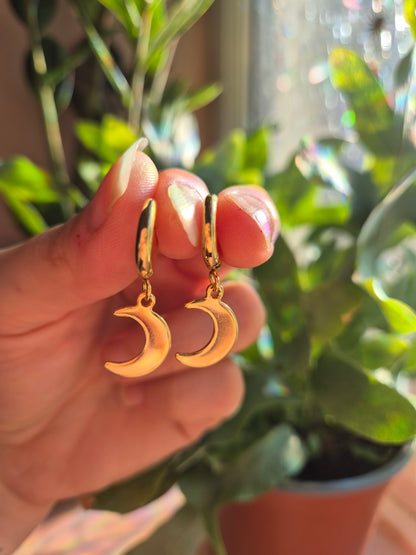 Gold Stainless Steel Crescent Moon Huggie Hoops